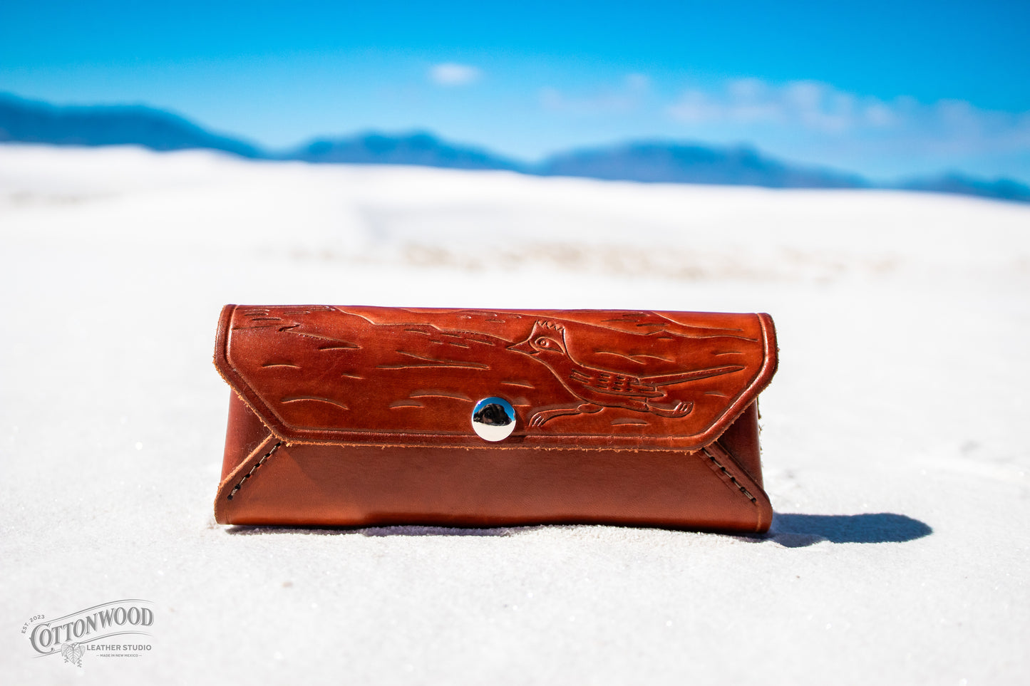 Desert Roadrunner Eyeglass Case